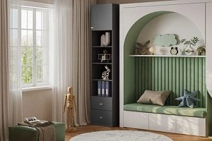 Стрекоза-3 Графит