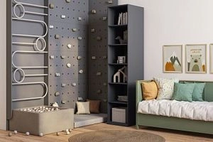 Стрекоза Графит