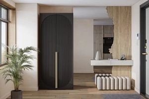 Брей-1 Чёрный