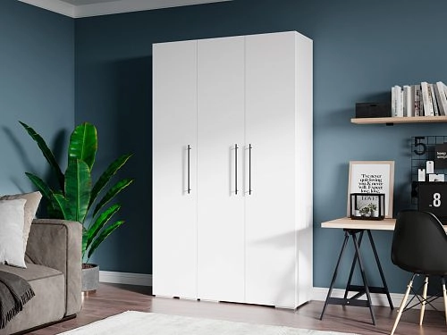 Шкаф распашной Калифорния-Стиль-5 Белый - фото 1